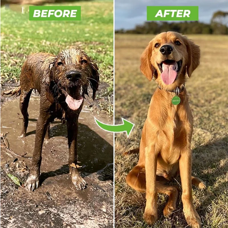 DogSpa Pro™ — Le Nettoyeur Haute Pression pour Chien